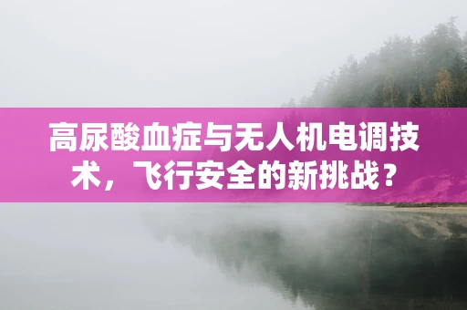 高尿酸血症与无人机电调技术，飞行安全的新挑战？