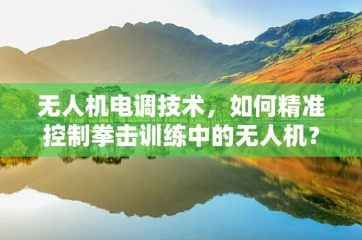 无人机电调技术，如何精准控制拳击训练中的无人机？