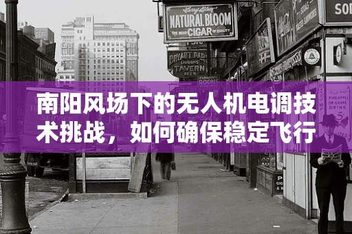 南阳风场下的无人机电调技术挑战，如何确保稳定飞行？