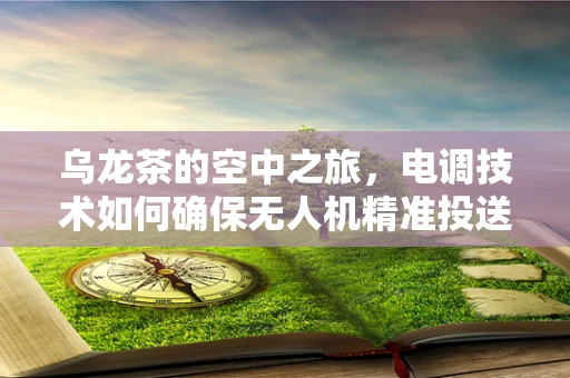 乌龙茶的空中之旅，电调技术如何确保无人机精准投送？