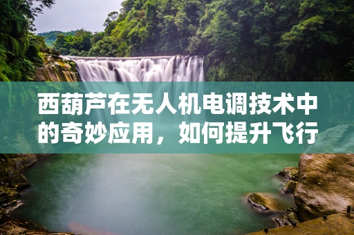 西葫芦在无人机电调技术中的奇妙应用，如何提升飞行稳定性？