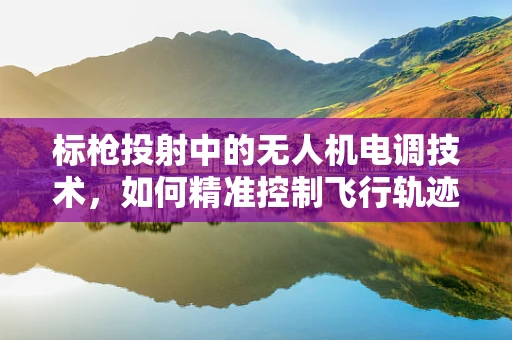 标枪投射中的无人机电调技术，如何精准控制飞行轨迹？