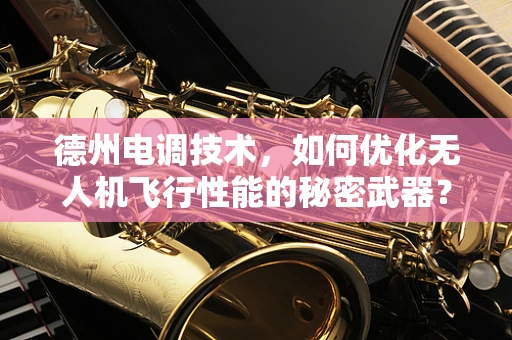 德州电调技术，如何优化无人机飞行性能的秘密武器？