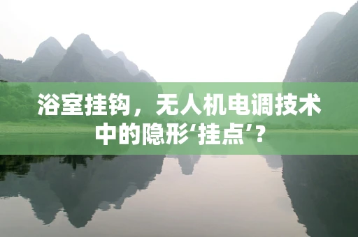 浴室挂钩，无人机电调技术中的隐形‘挂点’？