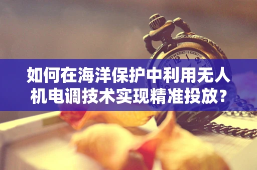 如何在海洋保护中利用无人机电调技术实现精准投放？