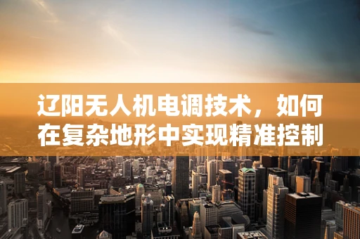 辽阳无人机电调技术，如何在复杂地形中实现精准控制？