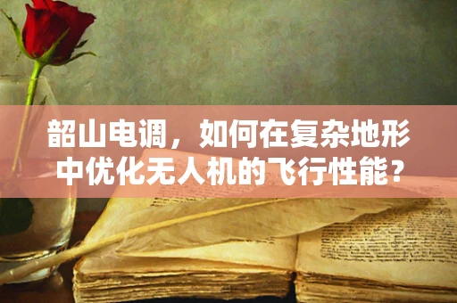 韶山电调，如何在复杂地形中优化无人机的飞行性能？