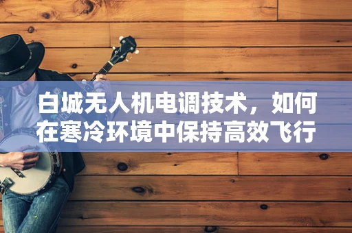 白城无人机电调技术，如何在寒冷环境中保持高效飞行？