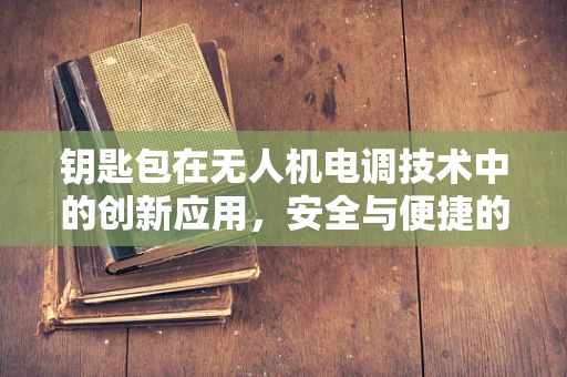 钥匙包在无人机电调技术中的创新应用，安全与便捷的双重考量