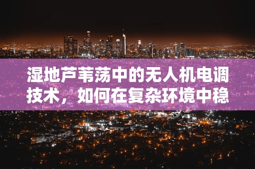 湿地芦苇荡中的无人机电调技术，如何在复杂环境中稳定飞行？