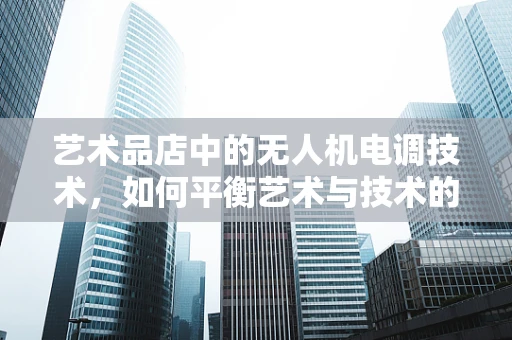 艺术品店中的无人机电调技术，如何平衡艺术与技术的和谐？