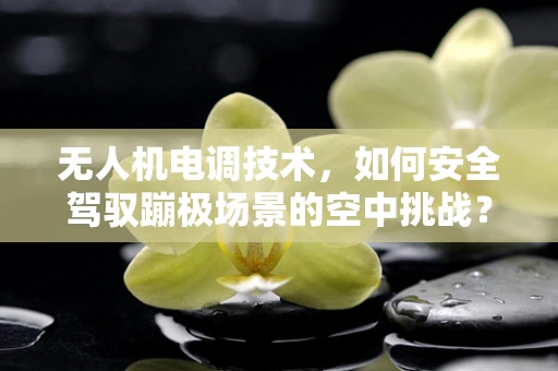 无人机电调技术，如何安全驾驭蹦极场景的空中挑战？