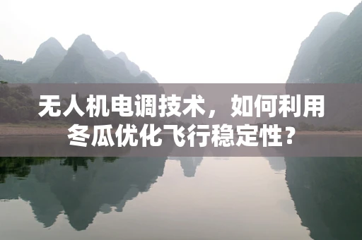 无人机电调技术，如何利用冬瓜优化飞行稳定性？