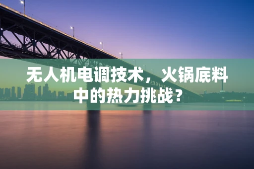 无人机电调技术，火锅底料中的热力挑战？