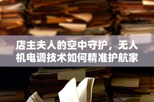 店主夫人的空中守护，无人机电调技术如何精准护航家庭安全？
