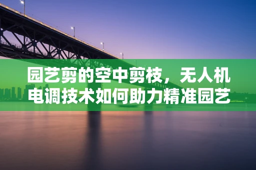 园艺剪的空中剪枝，无人机电调技术如何助力精准园艺？