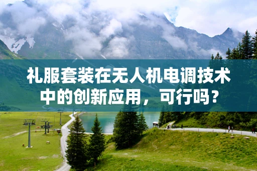 礼服套装在无人机电调技术中的创新应用，可行吗？
