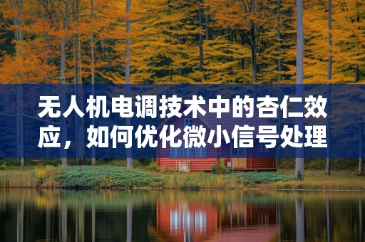 无人机电调技术中的杏仁效应，如何优化微小信号处理？
