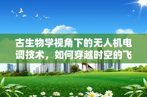 古生物学视角下的无人机电调技术，如何穿越时空的飞行？