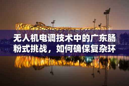 无人机电调技术中的广东肠粉式挑战，如何确保复杂环境下的稳定飞行？