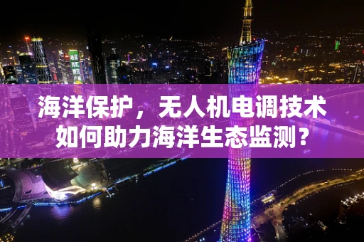 海洋保护，无人机电调技术如何助力海洋生态监测？