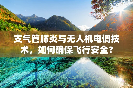 支气管肺炎与无人机电调技术，如何确保飞行安全？