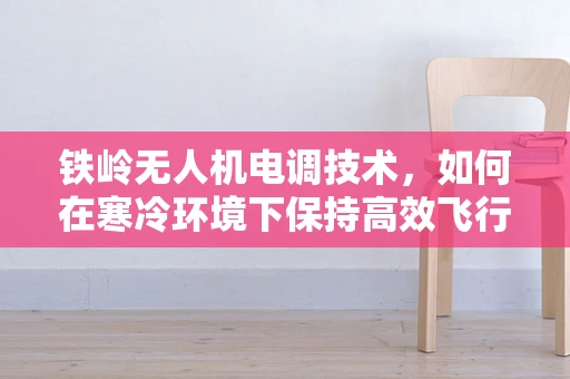 铁岭无人机电调技术，如何在寒冷环境下保持高效飞行？