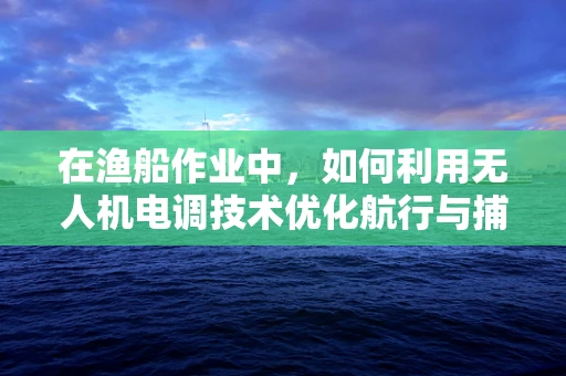 在渔船作业中，如何利用无人机电调技术优化航行与捕捞效率？