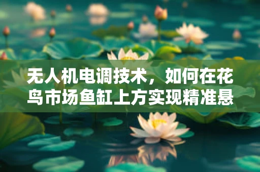 无人机电调技术，如何在花鸟市场鱼缸上方实现精准悬停？
