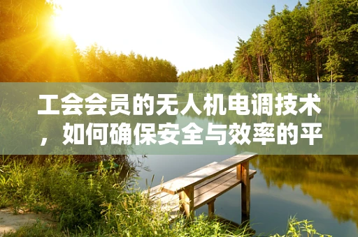 工会会员的无人机电调技术，如何确保安全与效率的平衡？