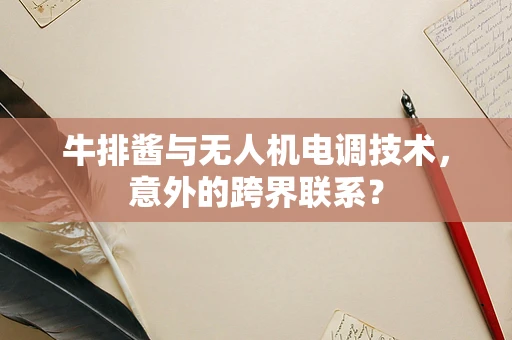 牛排酱与无人机电调技术，意外的跨界联系？