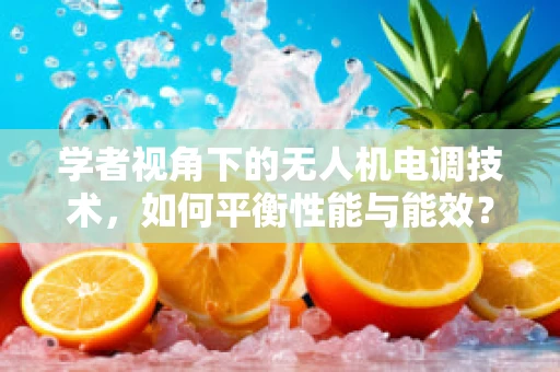 学者视角下的无人机电调技术，如何平衡性能与能效？