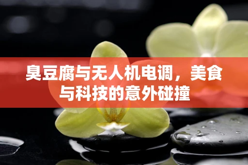 臭豆腐与无人机电调，美食与科技的意外碰撞