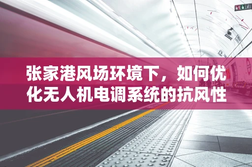 张家港风场环境下，如何优化无人机电调系统的抗风性能？