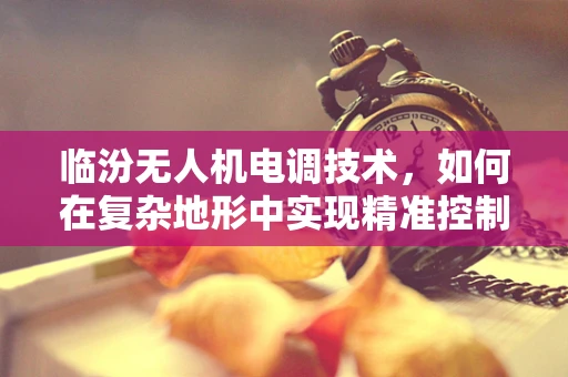 临汾无人机电调技术，如何在复杂地形中实现精准控制？