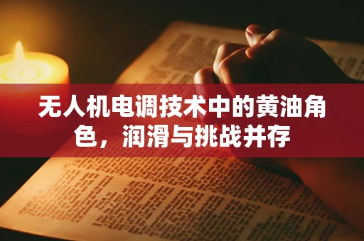 无人机电调技术中的黄油角色，润滑与挑战并存