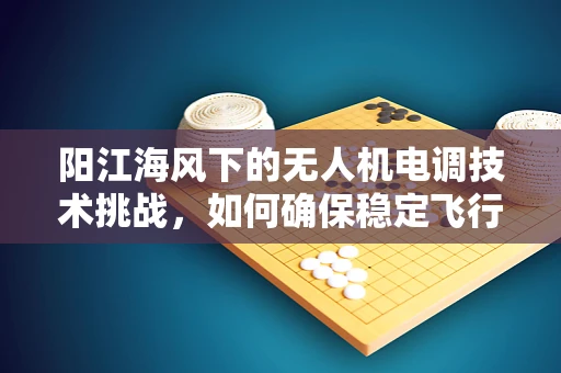 阳江海风下的无人机电调技术挑战，如何确保稳定飞行？