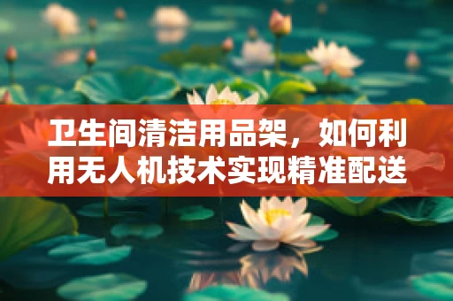 卫生间清洁用品架，如何利用无人机技术实现精准配送？