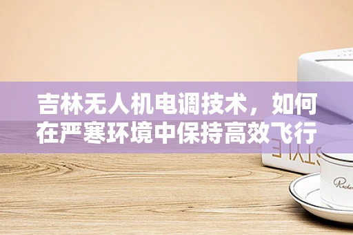 吉林无人机电调技术，如何在严寒环境中保持高效飞行？
