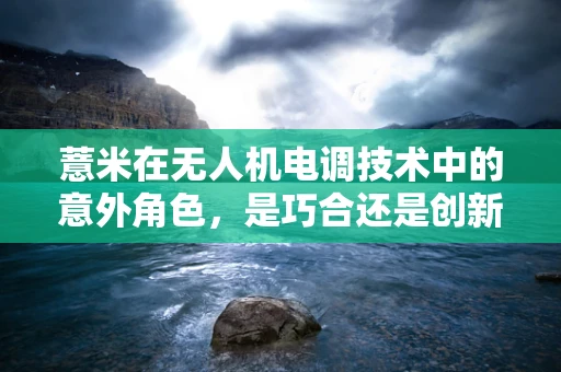薏米在无人机电调技术中的意外角色，是巧合还是创新之举？