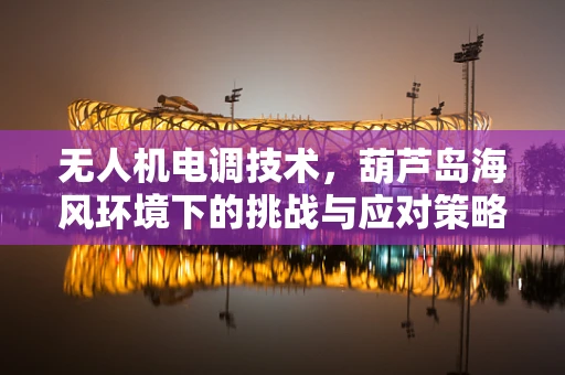 无人机电调技术，葫芦岛海风环境下的挑战与应对策略