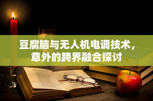 豆腐脑与无人机电调技术，意外的跨界融合探讨