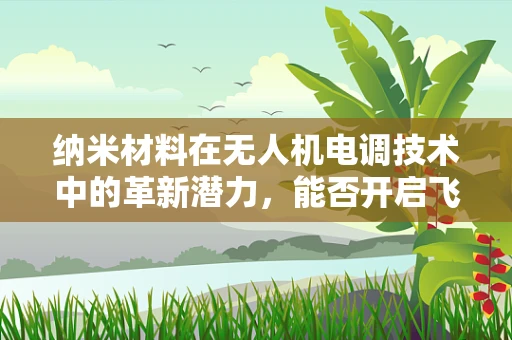 纳米材料在无人机电调技术中的革新潜力，能否开启飞行器性能的新纪元？