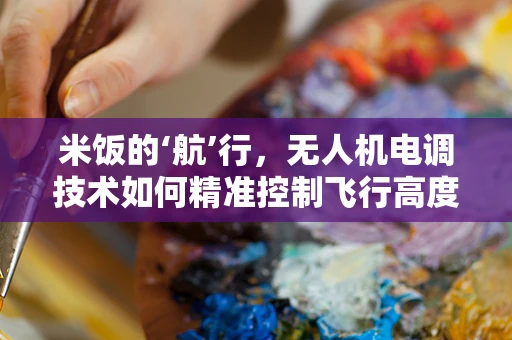 米饭的‘航’行，无人机电调技术如何精准控制飞行高度？