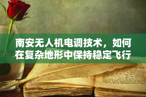 南安无人机电调技术，如何在复杂地形中保持稳定飞行？