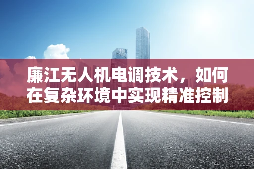 廉江无人机电调技术，如何在复杂环境中实现精准控制？