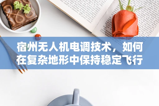 宿州无人机电调技术，如何在复杂地形中保持稳定飞行？