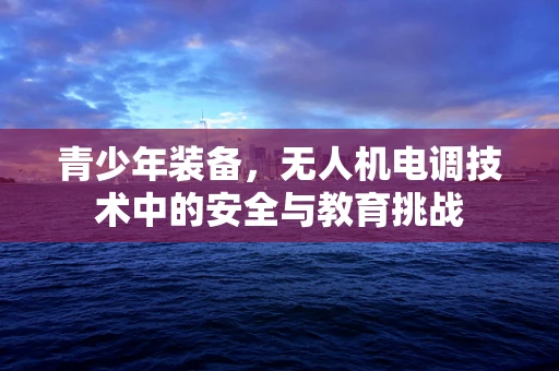 青少年装备，无人机电调技术中的安全与教育挑战