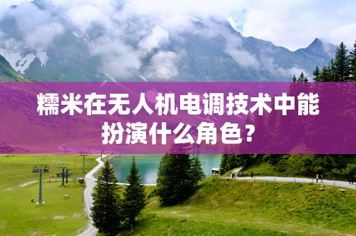 糯米在无人机电调技术中能扮演什么角色？