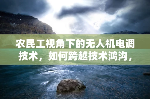 农民工视角下的无人机电调技术，如何跨越技术鸿沟，实现农村精准作业？